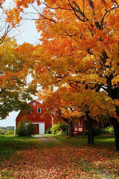 Fall in Maine in 2024 | Autumn scenery, Fall pictures, Autumn scenes