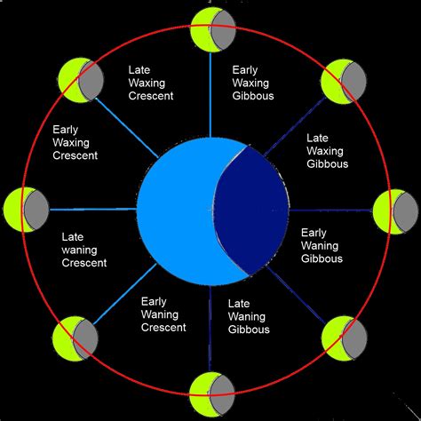 Diagram Phases Of The Moon