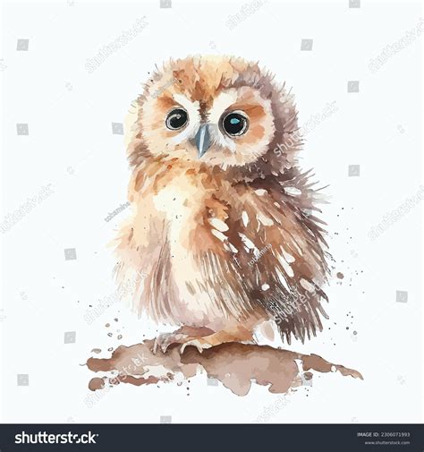 Baby Owls: Over 43,648 Royalty-Free Licensable Stock Illustrations ...