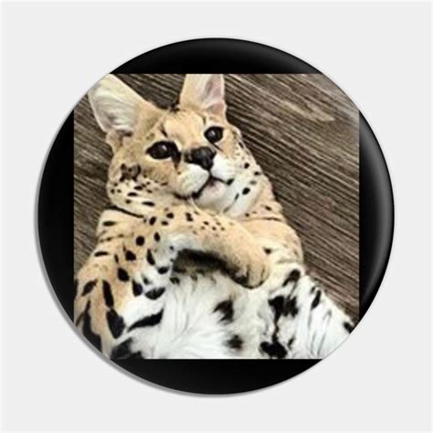 Sogga My Beloved Serval Meme Cat Meme - Sogga My Beloved - Pin | TeePublic