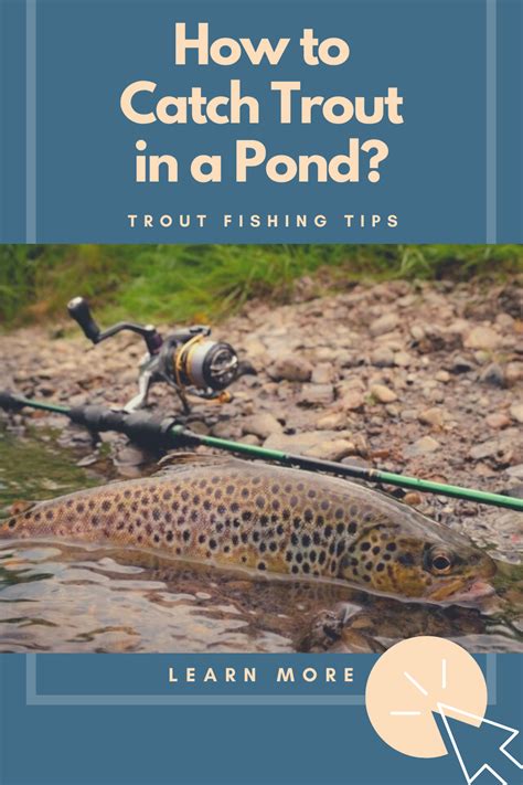 Trout Fishing Tips: How to Catch Trout in a Pond? [Best Way] in 2021 ...