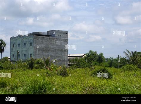 Swiftlet bird nest hi-res stock photography and images - Alamy