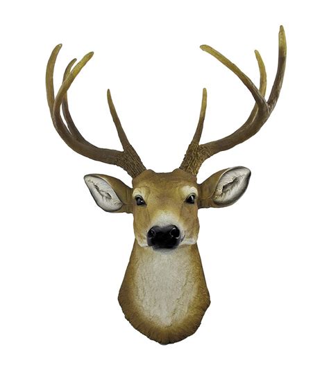 Wall Mounted Deer Head