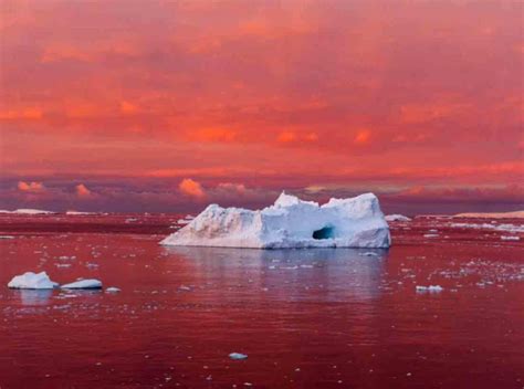 Antarctica is witnessing ‘blood red’ colored snow - People Magazine ...