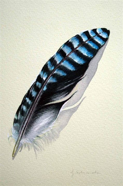 Feather 108 European Blue Jay Feather From Australia | Etsy | Jay ...