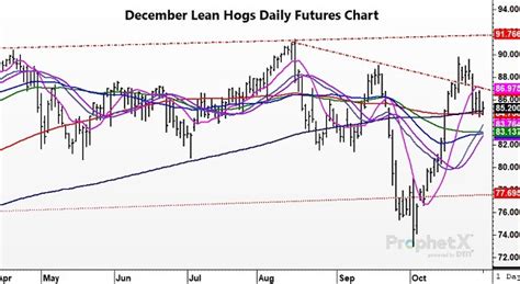 Today in Lean Hogs 11-01-2022 - Total Farm Marketing by Stewart-Peterson