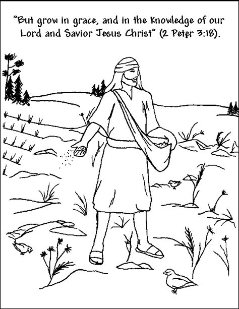 Printable Parable Of The Sower Activity Sheets