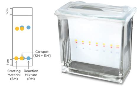 Thin Layer Chromatography: A Complete Guide to TLC