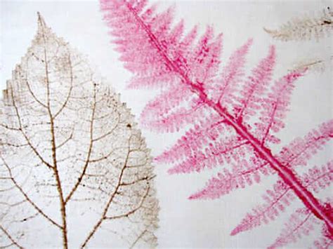 Impression de feuilles sur tissu - Comment faire de l'art portable ...