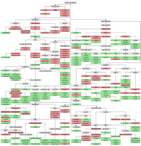 Indo-European language family tree (Illustration) - World History ...