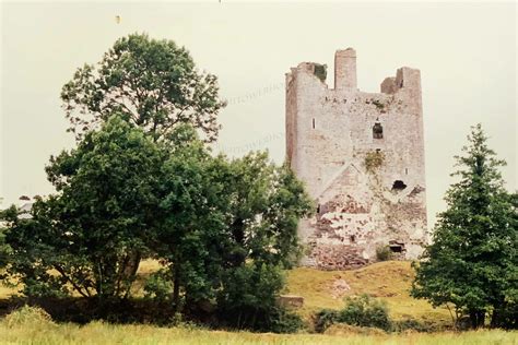 Ballintotty Castle, Co. Tipperary - Irish Tower Houses & Castles