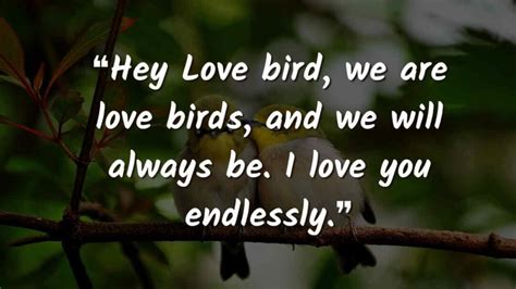 2024 Love Birds Quotes To Say "we Are Love Birds"