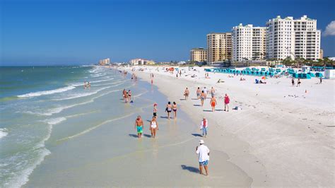 Visit Clearwater: 2022 Travel Guide for Clearwater, St. Petersburg ...