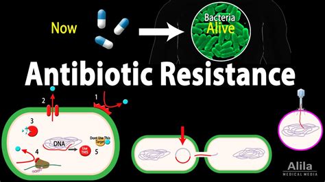 Antibiotics Killing Bacteria Cartoon