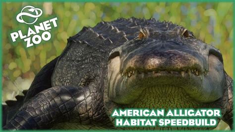 Planet Zoo: American Alligator Habitat Build!!! - YouTube