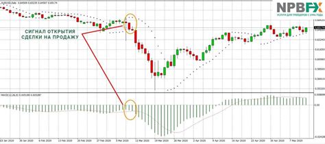 Simple and Profitable Strategies for Forex | Revieweek™