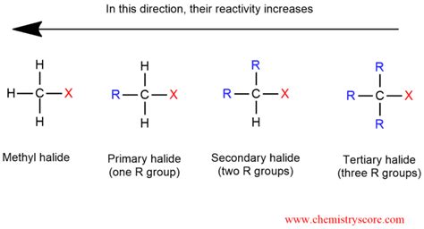 Why Do Primary Alkyl Halides Undergo Sn2