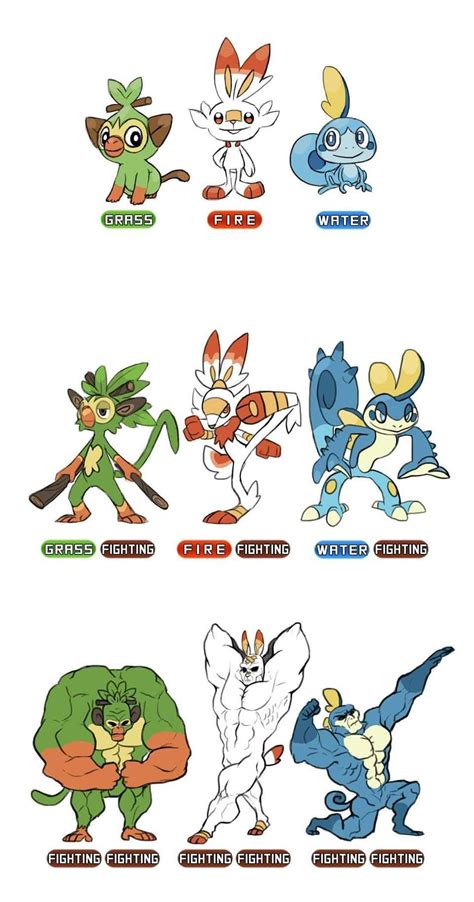 Gen 8 Starter Evolutions | Pokémon Sword and Shield | Know Your Meme ...