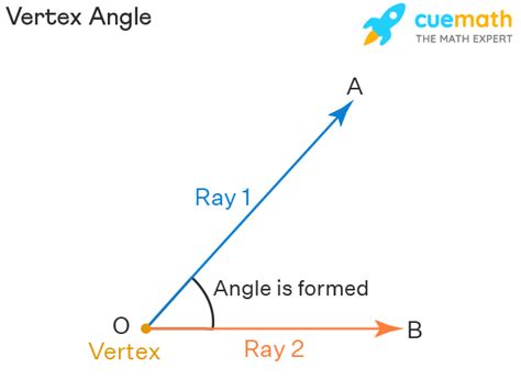 Vertex Angle - Definition, Solid Shapes, Parabola, Examples