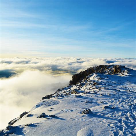 Kilimanjaro's Climate Zones