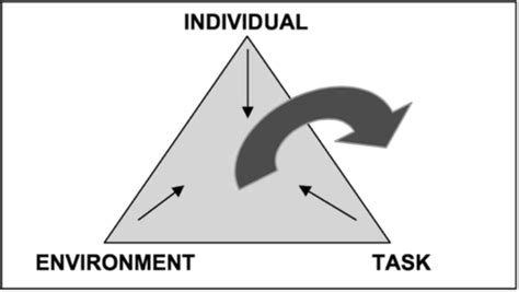 Figure 1 from Application of the Dynamic Systems Theory to the Elder ...