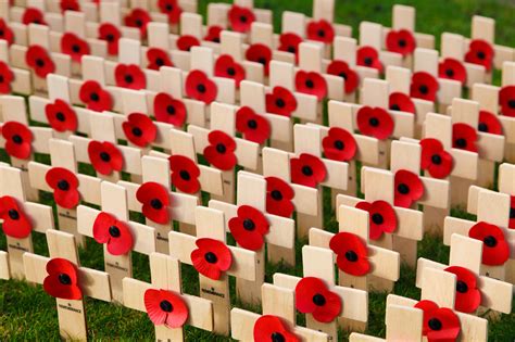 Remembrance Day Free Stock Photo - Public Domain Pictures