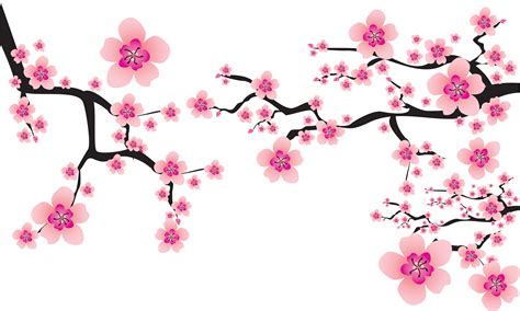 Download HD Sakura Png - Background Bunga Sakura Png Transparent PNG ...