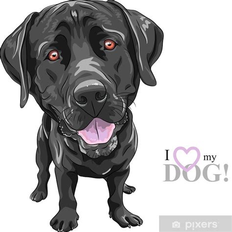 Wall Mural vector funny cartoon black dog breed Labrador Retriever ...