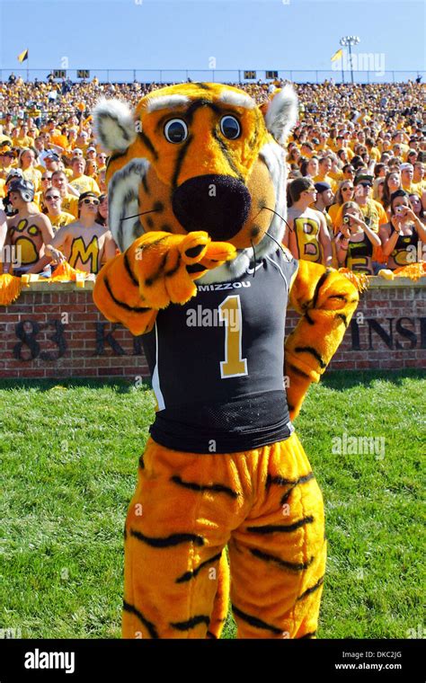 Truman the tiger hi-res stock photography and images - Alamy