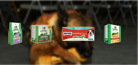 Best Dog Dental Chews [2024] Top Dog Teeth Cleaning Products [Review]