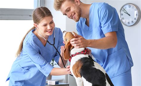 Online Veterinary Assistant from Southeastern Oklahoma State University