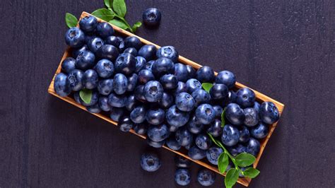 Blueberry HD Wallpaper - KoLPaPer - Awesome Free HD Wallpapers