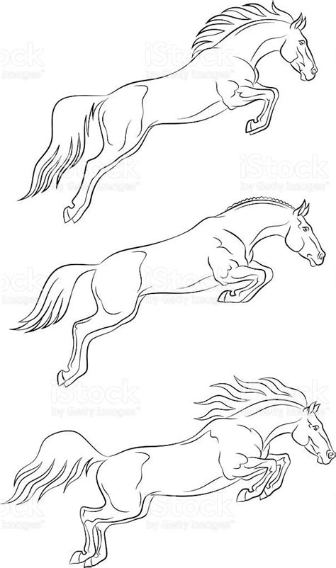 Jumping horse on a white background | Прыгающие лошади, Татуировка с ...