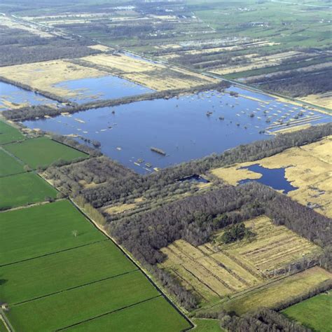 Shapwick Heath National Nature Reserve - Avalon Marshes