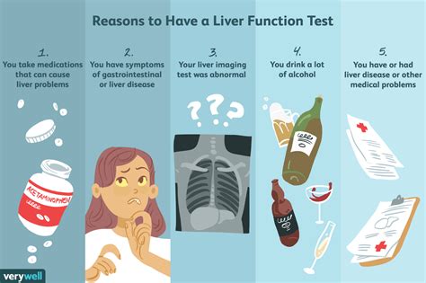 Liver Function Tests: Uses, Side Effects, Procedure, Results