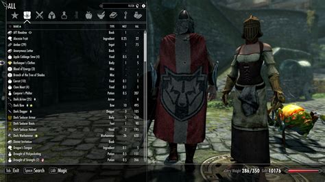 100% essential Skyrim mod lets you see yourself in the inventory menu ...