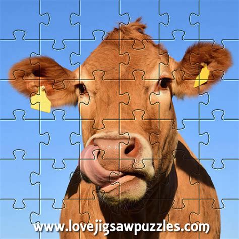 Farm Animal Jigsaw Puzzles - Free Online Jigsaws from the Farm