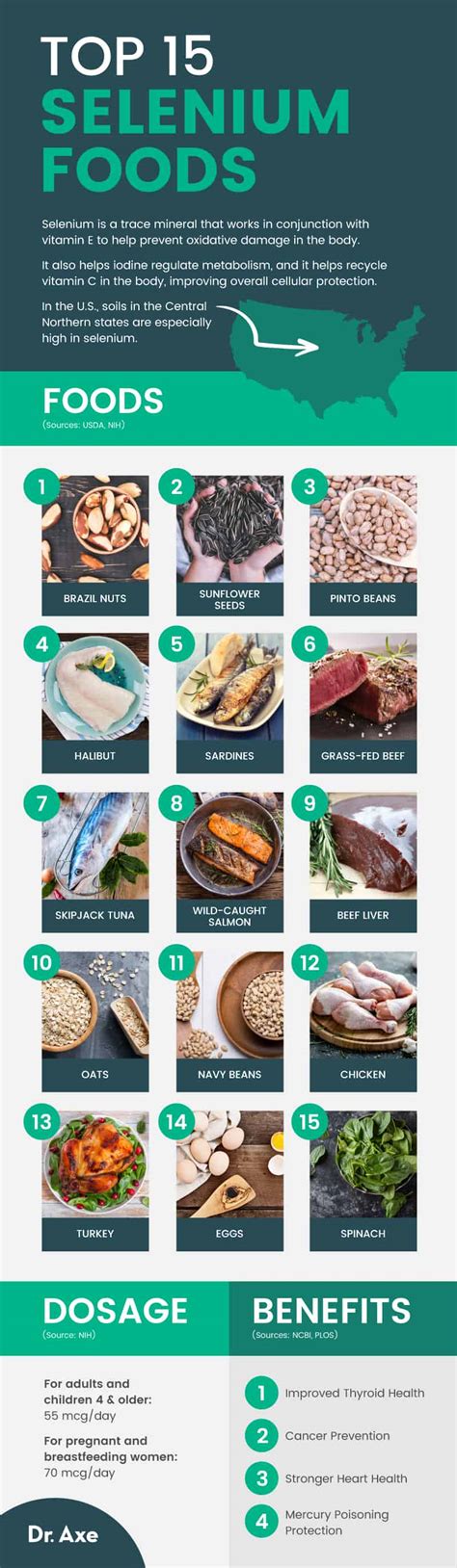 Top 15 Selenium Foods, Nutrition Data and Recipes - Dr. Axe