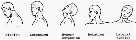 Flexion Extension Hyper-extension Rotation Lateral flexion | Physical ...