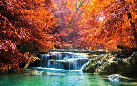 trees, landscape, colorful, forest, fall, waterfall, nature, red ...