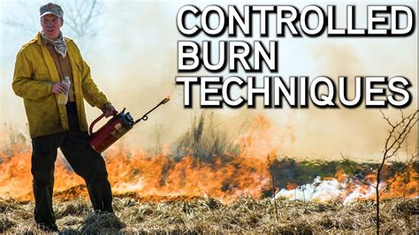 Habitat Management | Controlled Burn Techniques | Prescribed Fire - YouTube