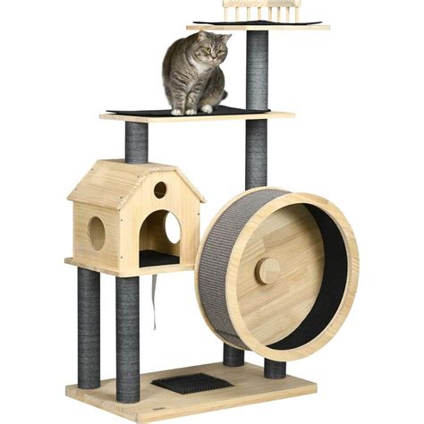 Best Cat Wheel To Keep Your Kitty Purr-Fectly Entertained