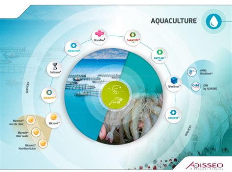 Aquaculture solutions by Adisseo by Adisseo