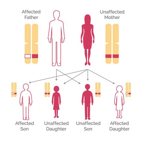 Genetic Testing for Breast Cancer - National Breast Cancer Foundation