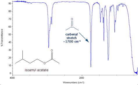 Infrared Absorbance Spectroscopy (IR) | MendelSet