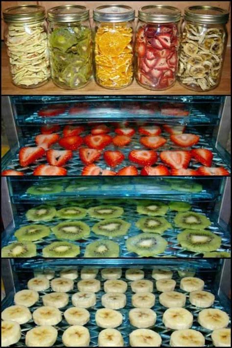 Freeze-Drying Food At Home - 3 Easy Methods - Prepper's Will