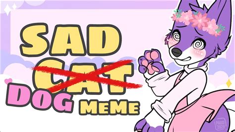 Sad Cat Dance || MEME - YouTube