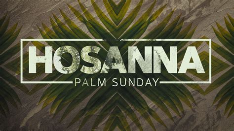 Hosanna (Palm Sunday) Graphic Pack