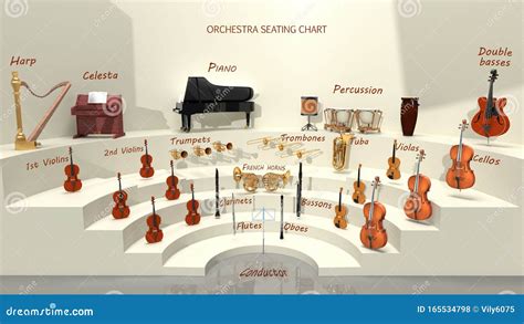 The Arrangement Of Musical Instruments Of The Symphony Orchestra, 3D ...