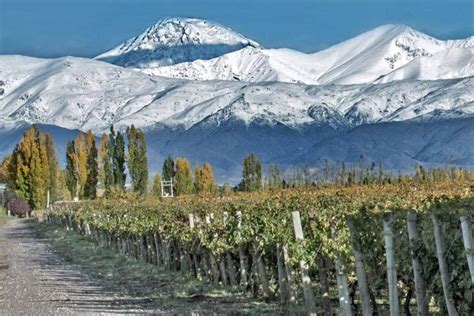 A Guide To The Main Wine Regions In Mendoza, Argentina